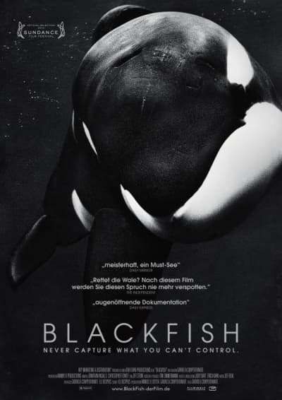 Filmplakat Blackfish